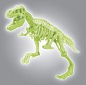 SKAMIENIAŁOŚCI T-REX NAUKOWA ZABAWA APLIKACJA ANDROID IOS