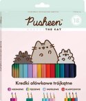 Plecak Szkolny Kot Cat Pusheen worek notes portfel